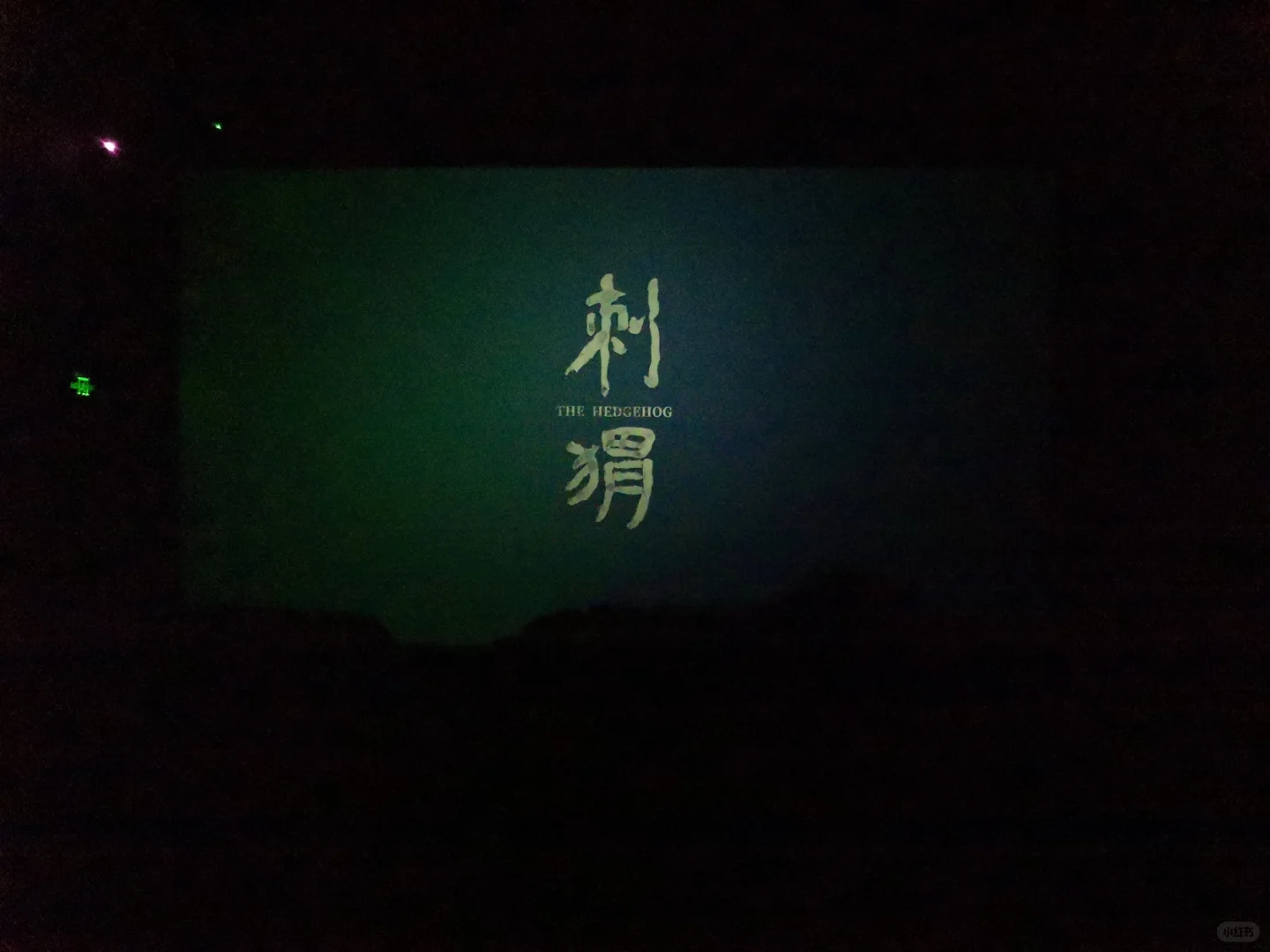 《刺猬》到底好不好看 让看过的人来说