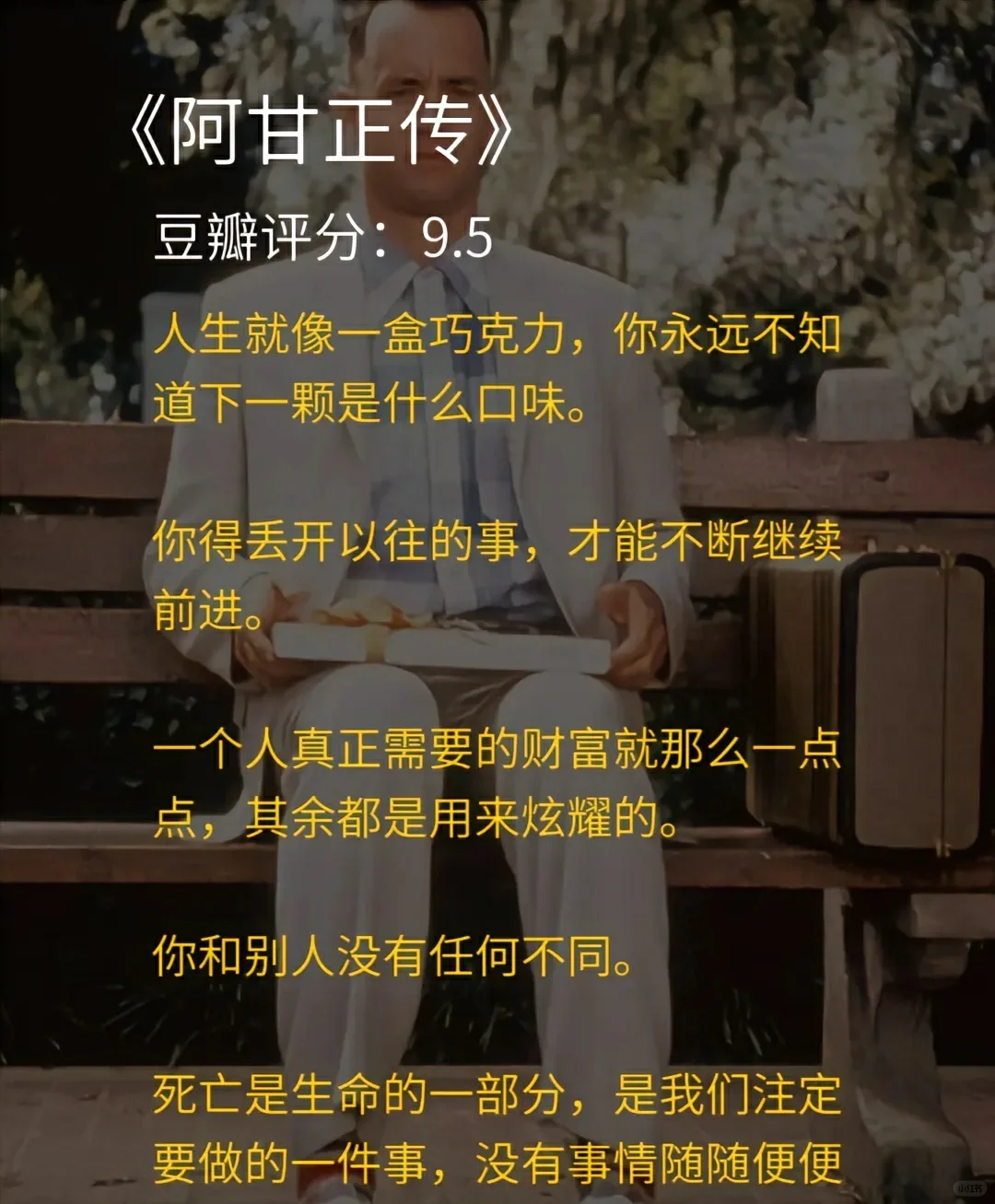 电影推荐🎬