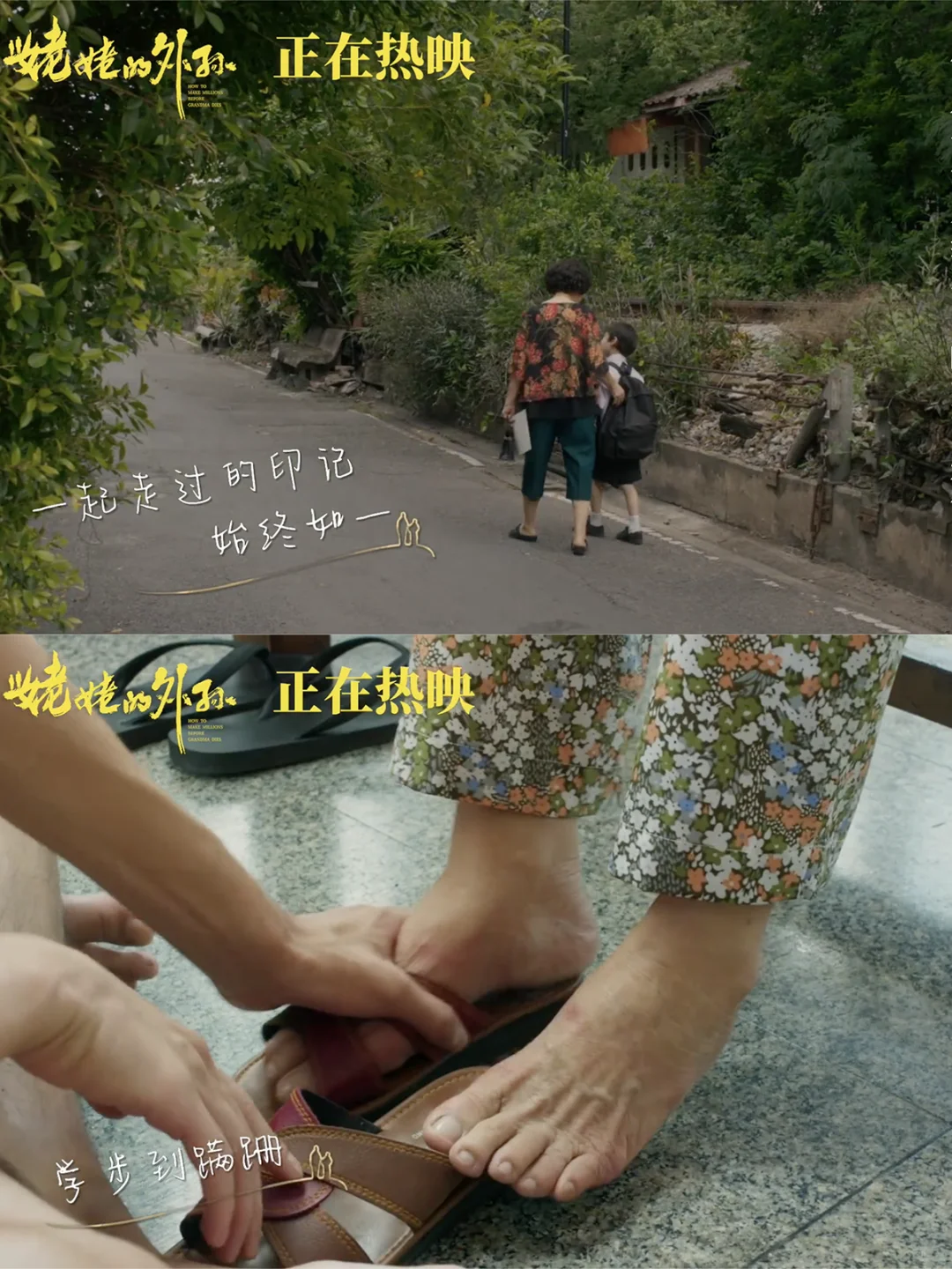 被《姥姥的外孙》宣发骗到了❗️