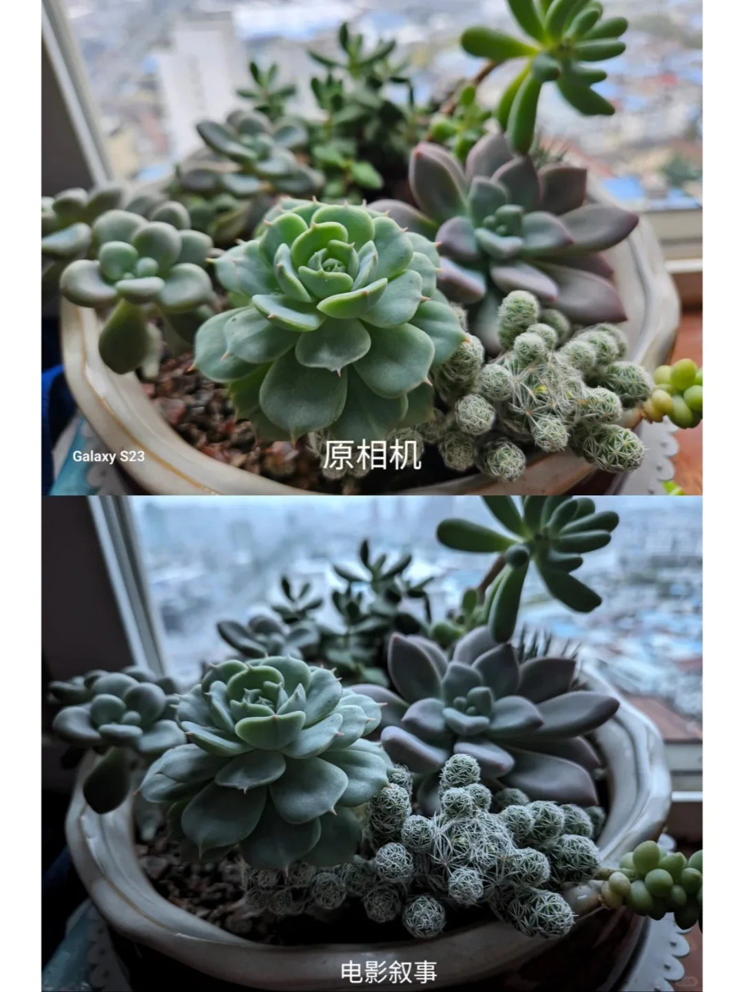 三星 S23 谷歌相机安装保姆级教程来啦👀