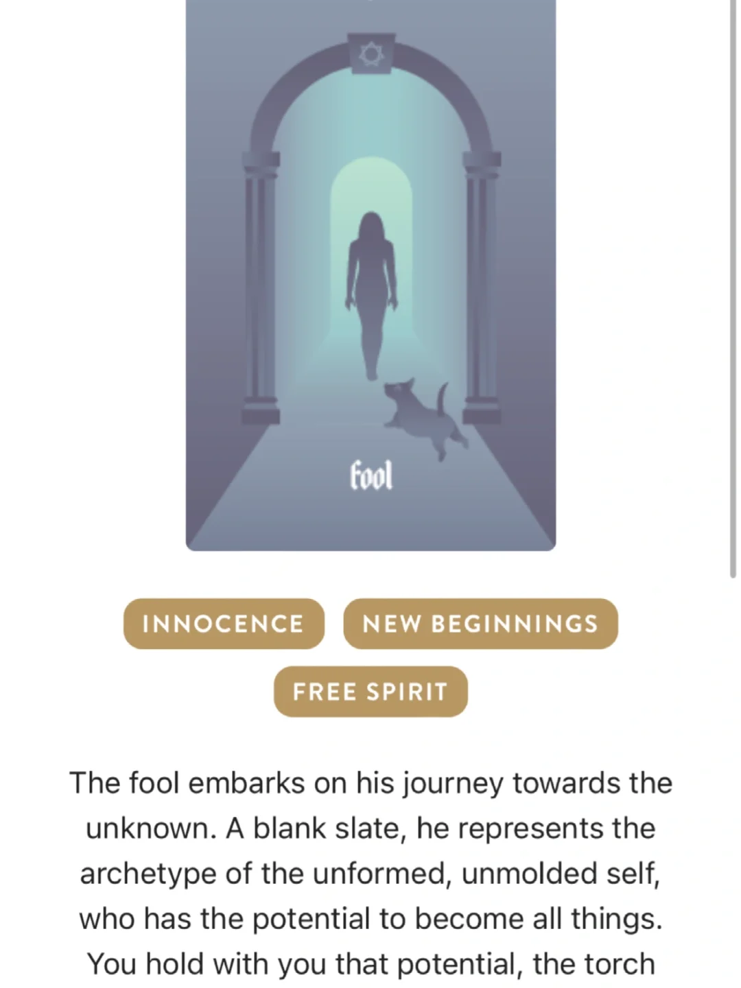 免费塔罗学习app推荐💐💐💐