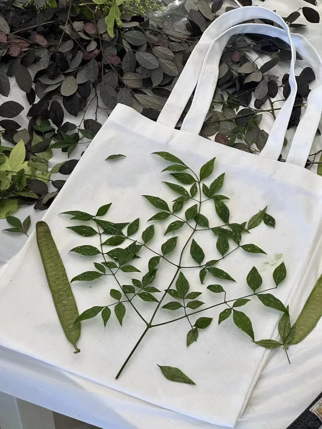 plog |谁还没有发现这个宝藏app呀?