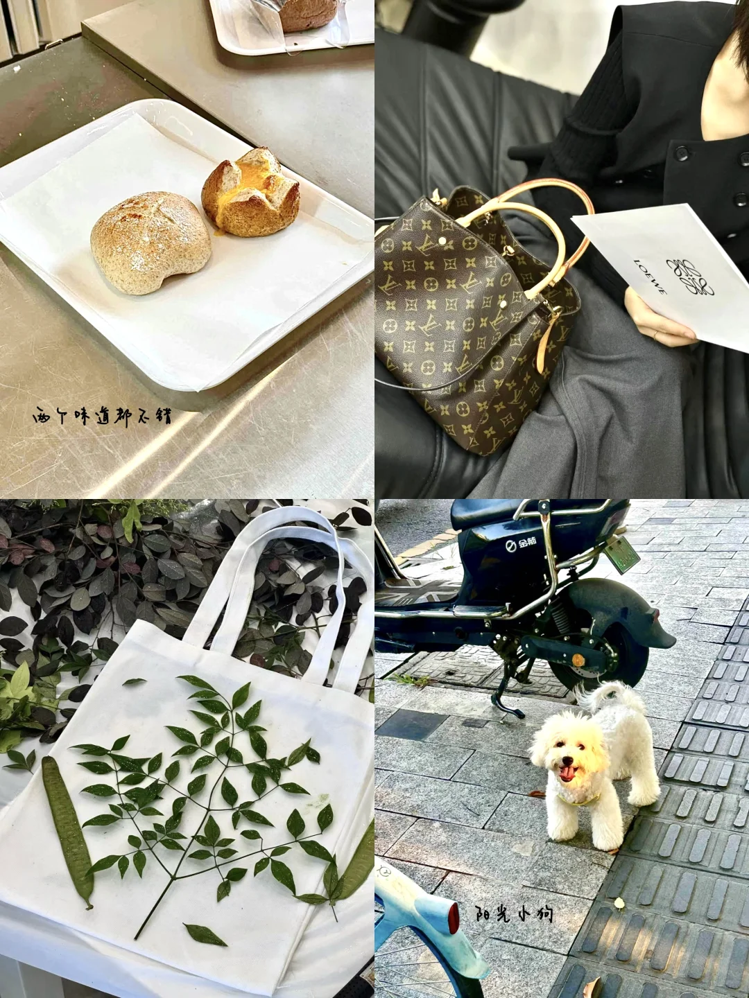 plog |谁还没有发现这个宝藏app呀?