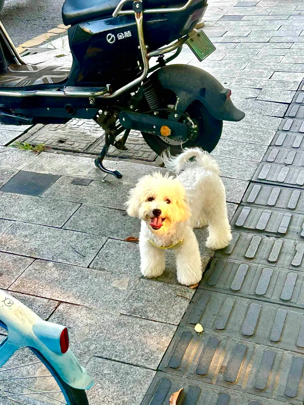 plog |谁还没有发现这个宝藏app呀?