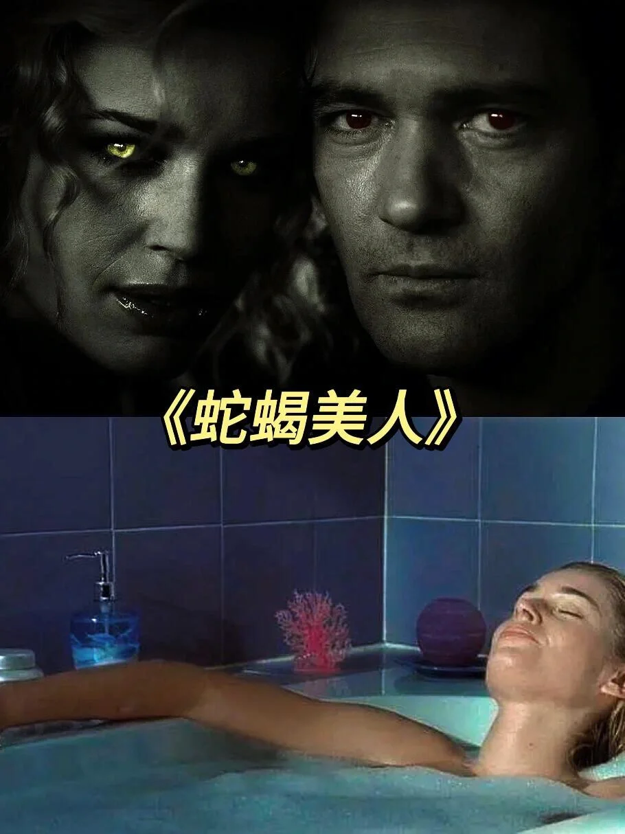 未删减❗️颜值与C度齐飞的6⃣️部欧美剧