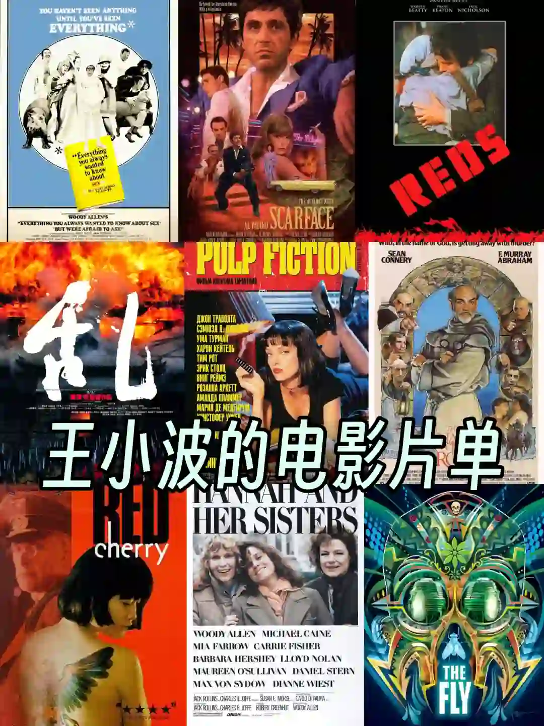 📖王小波的片单——电影是用来吐槽的