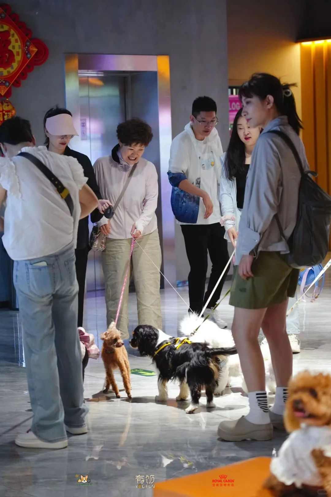 第一次体验携宠看电影