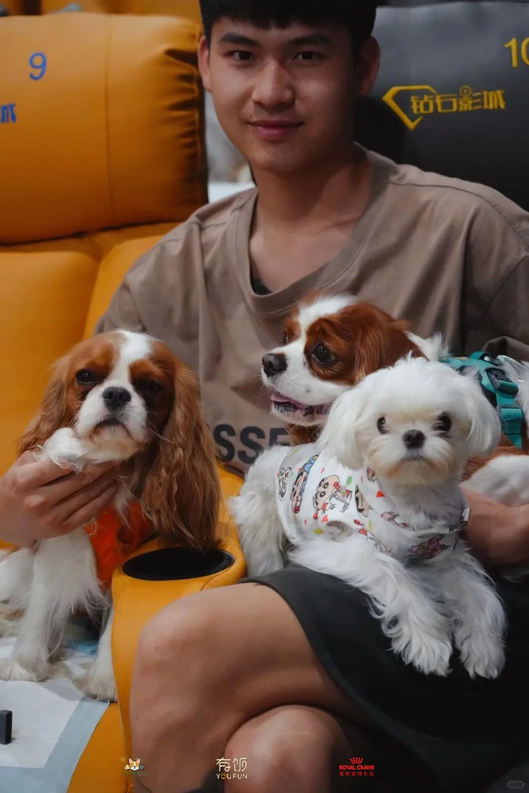 第一次体验携宠看电影