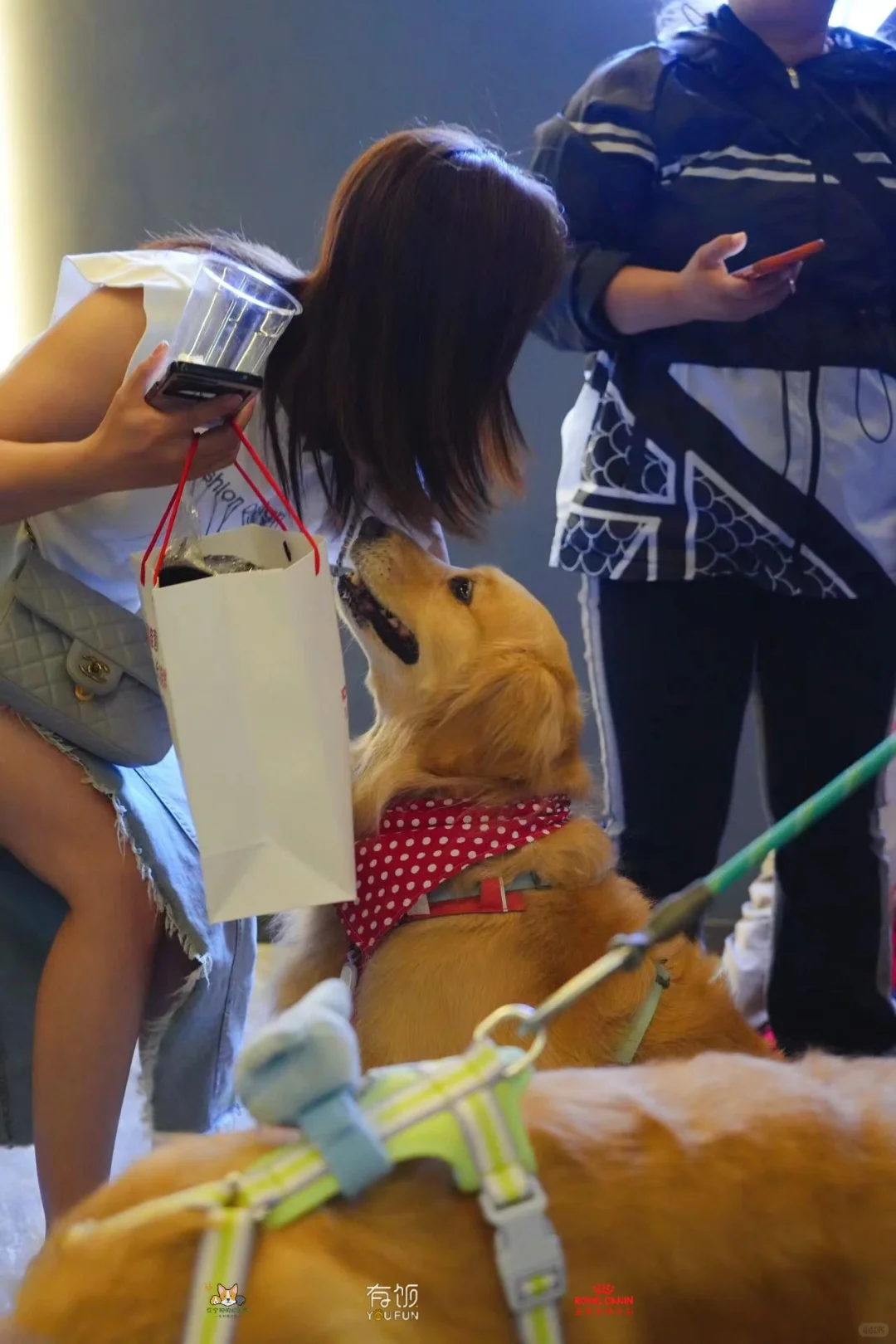 第一次体验携宠看电影