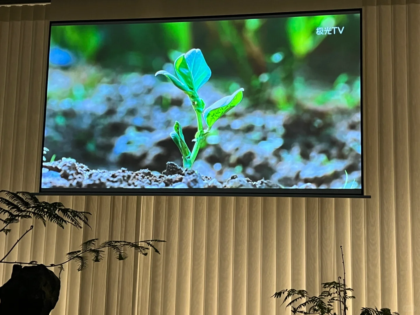 “比起家，我还是选择了世界”——电影《奇迹》