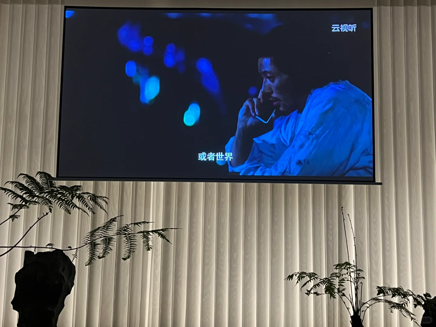 “比起家，我还是选择了世界”——电影《奇迹》