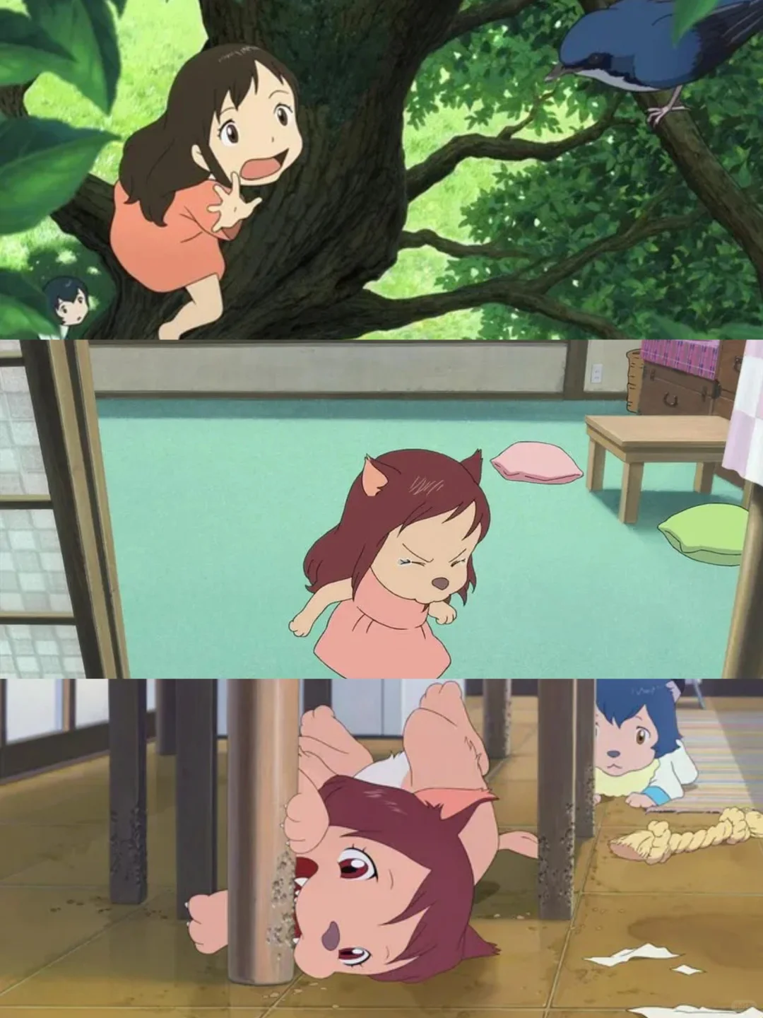 ✨✨豆瓣高分电影｜小众高级‼️‼️