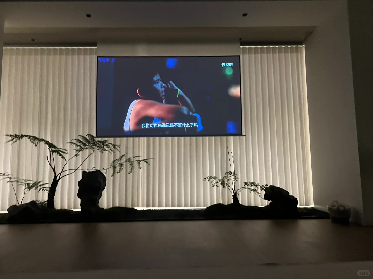 “比起家，我还是选择了世界”——电影《奇迹》