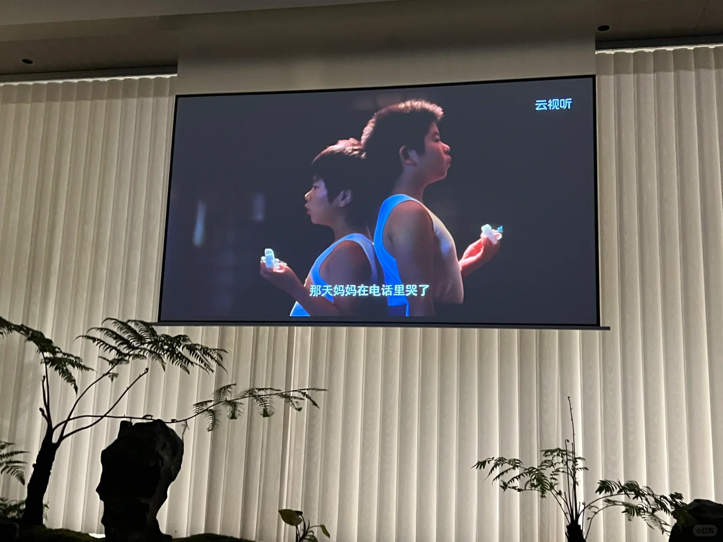 “比起家，我还是选择了世界”——电影《奇迹》