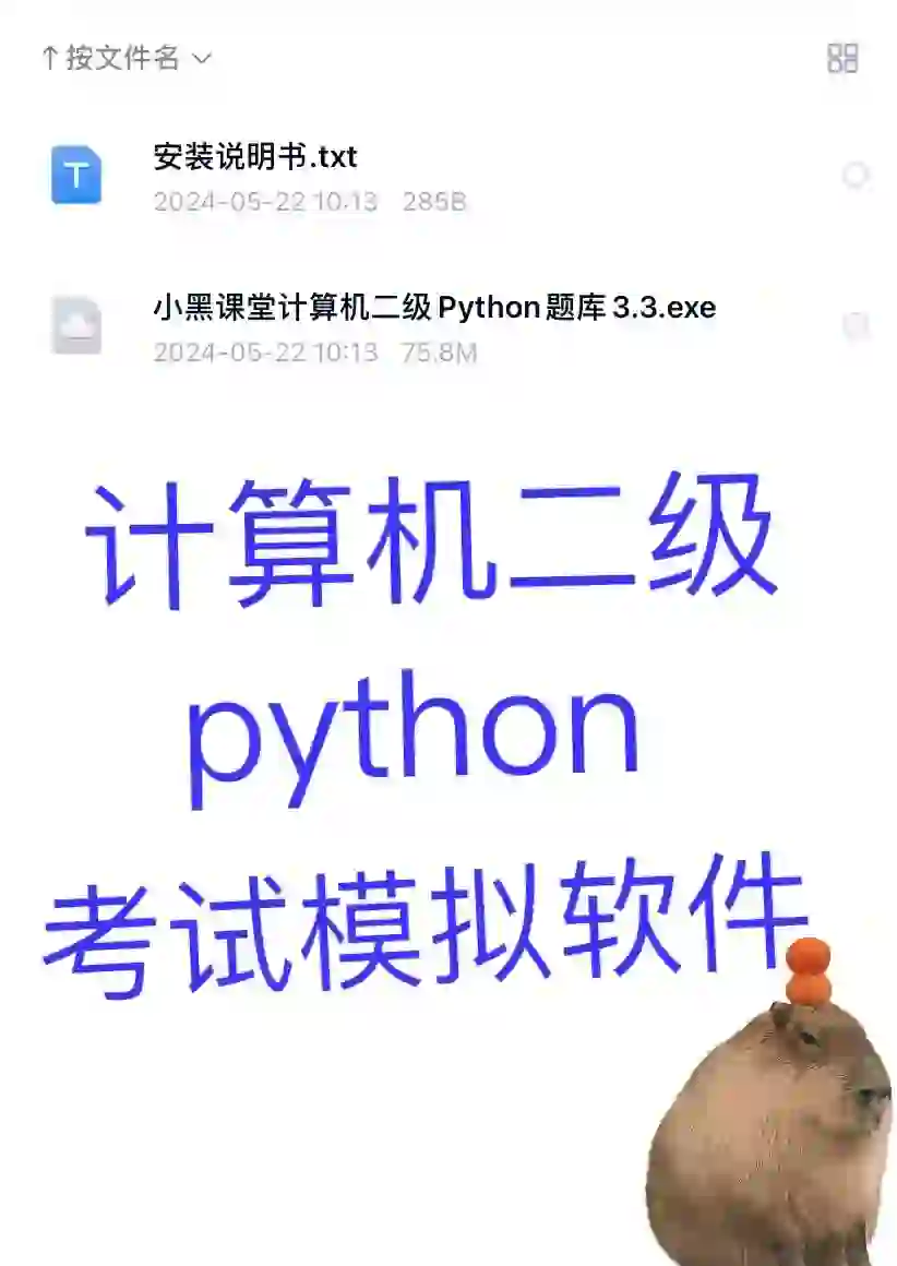 计算机二级python考试模拟软件