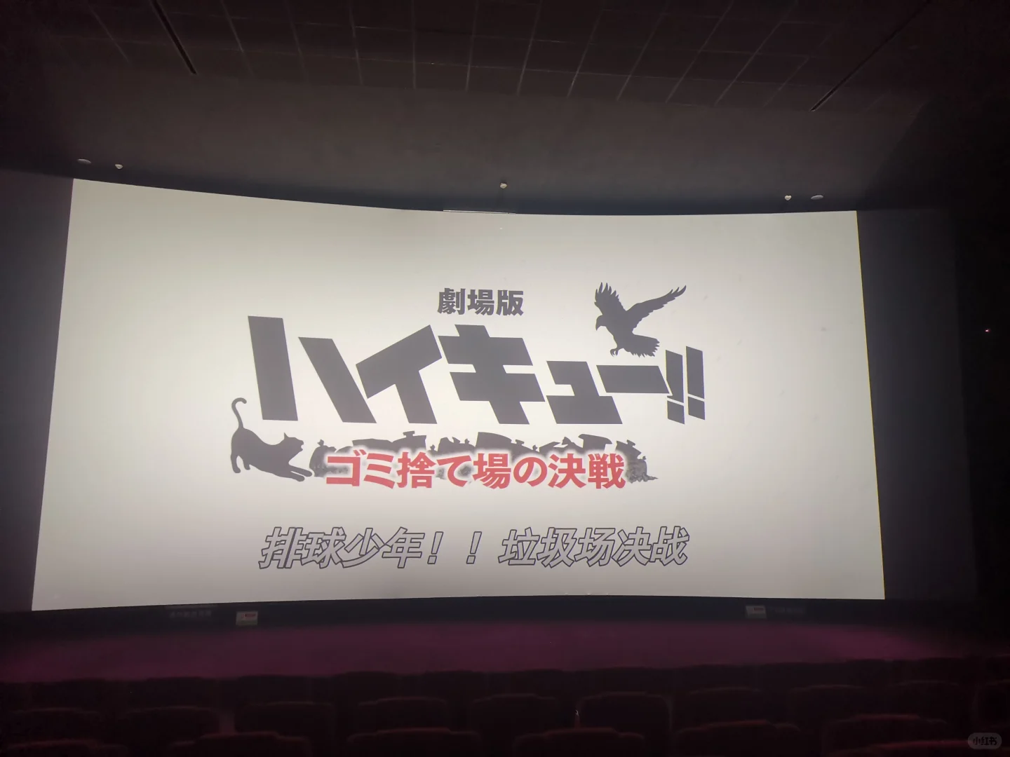 一个人的夜场电影