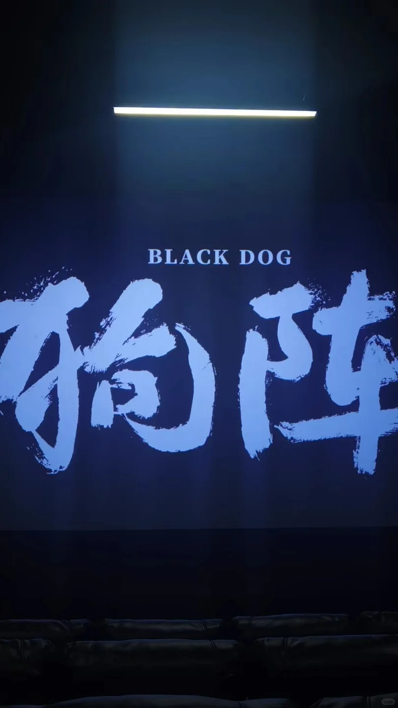 下雨🌧️包场看电影