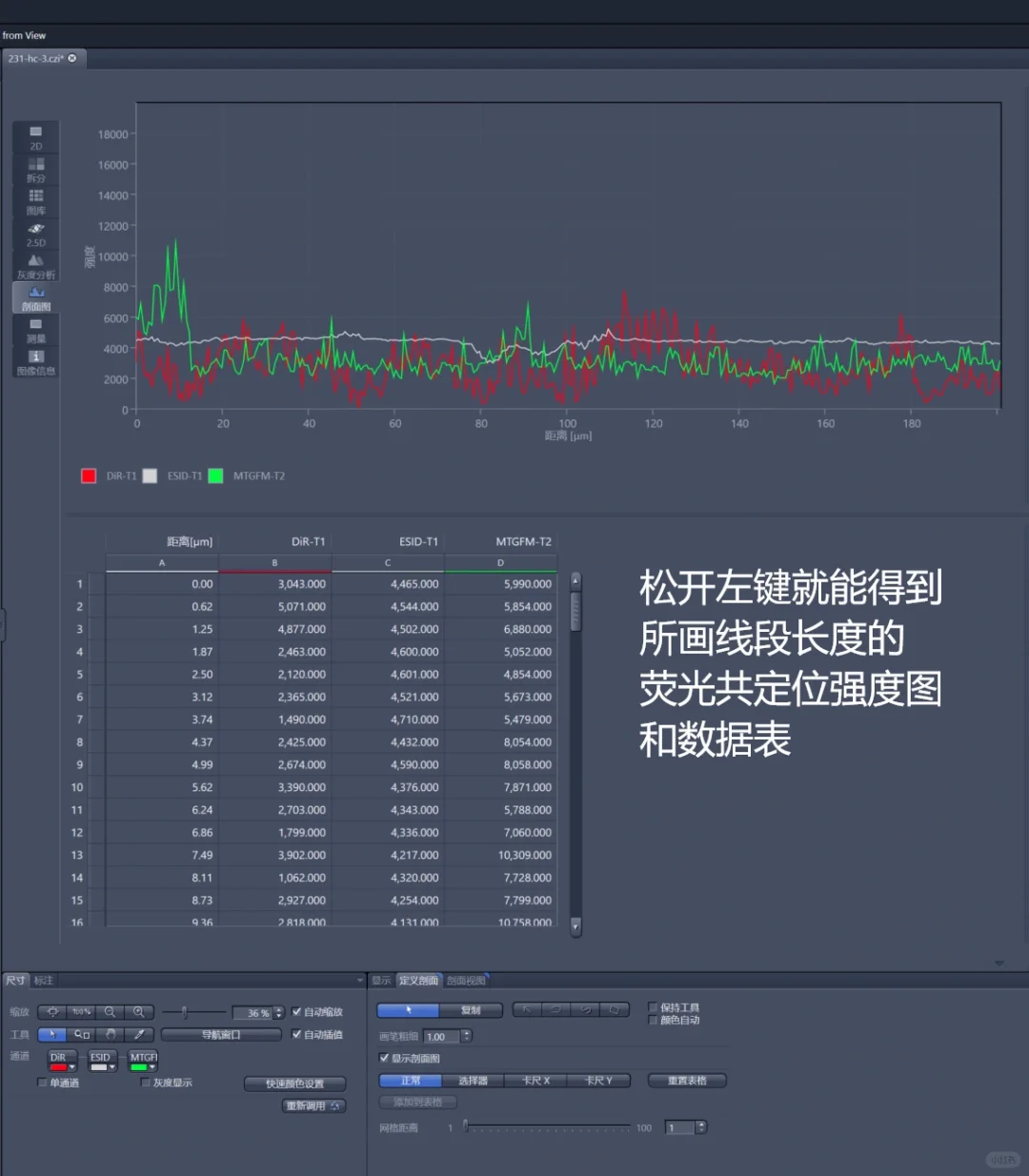 Zen软件｜荧光共定位分析：最简单的方法‼️