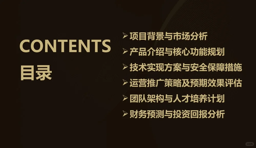 追星搭子APP创业计划书Word➕PPT