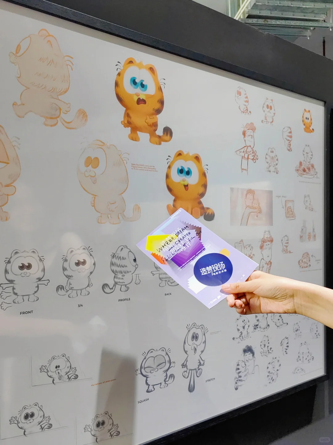 带闺蜜打卡电影艺术展,错过彭于晏🥲