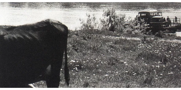 里加诗意纪录片电影学派：莱拉·帕卡莲莉娜