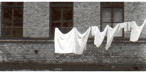 里加诗意纪录片电影学派：莱拉·帕卡莲莉娜