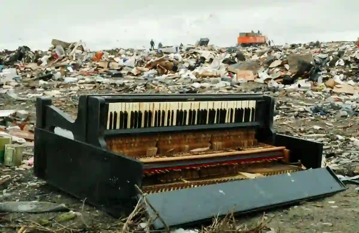 里加诗意纪录片电影学派：莱拉·帕卡莲莉娜