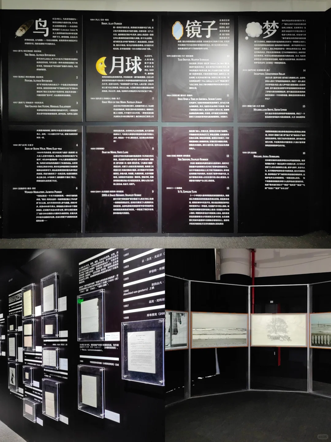 带闺蜜打卡电影艺术展,错过彭于晏🥲