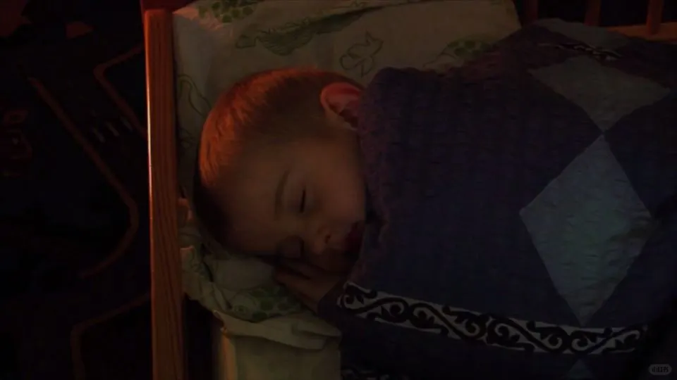 里加诗意纪录片电影学派：莱拉·帕卡莲莉娜