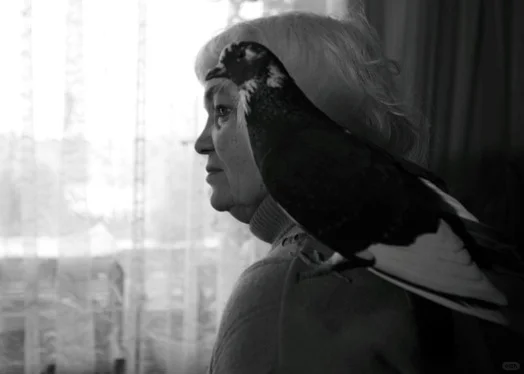 里加诗意纪录片电影学派：莱拉·帕卡莲莉娜