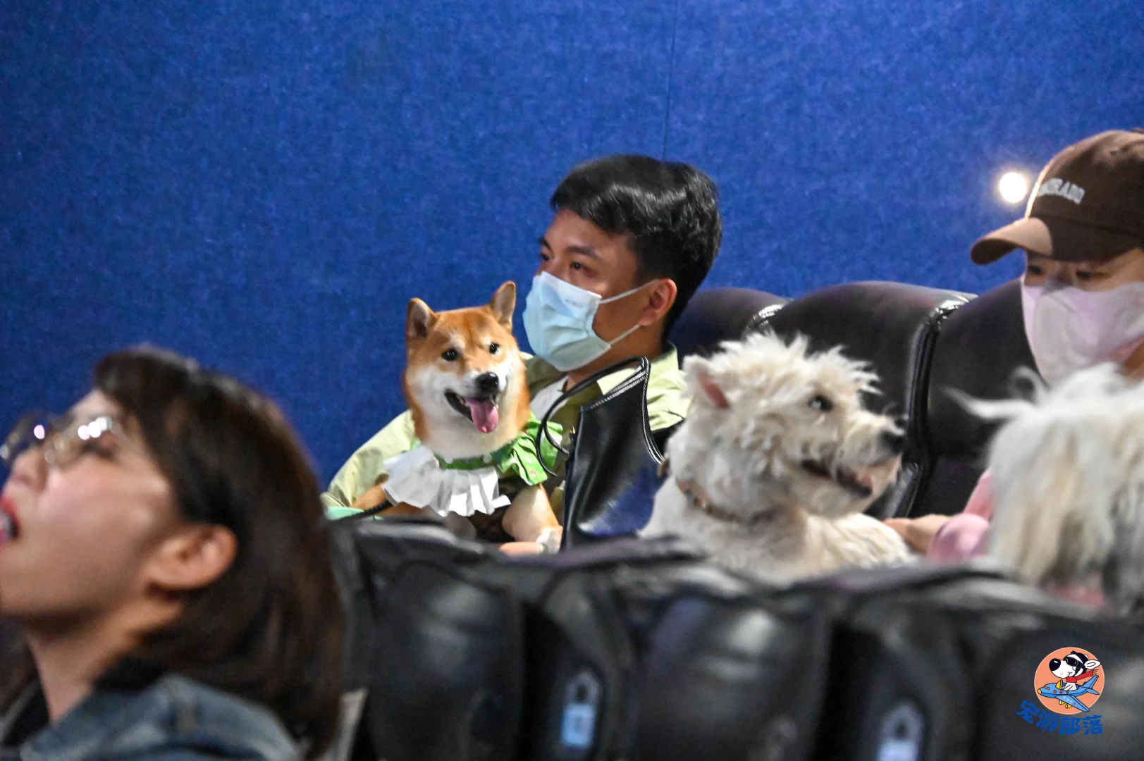 北京|6月15日带狗狗去看电影吧