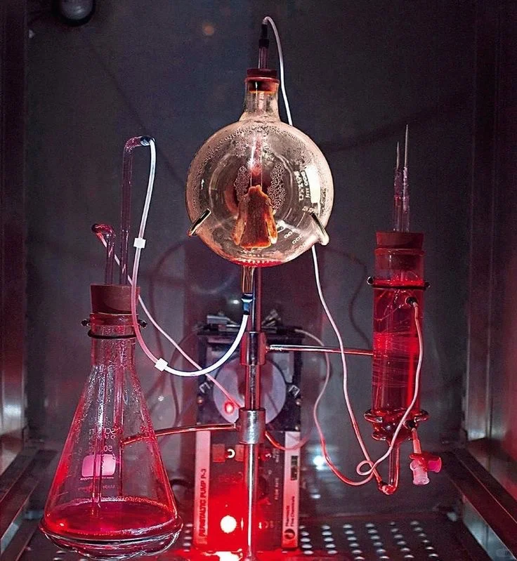 电影美术|科学怪人