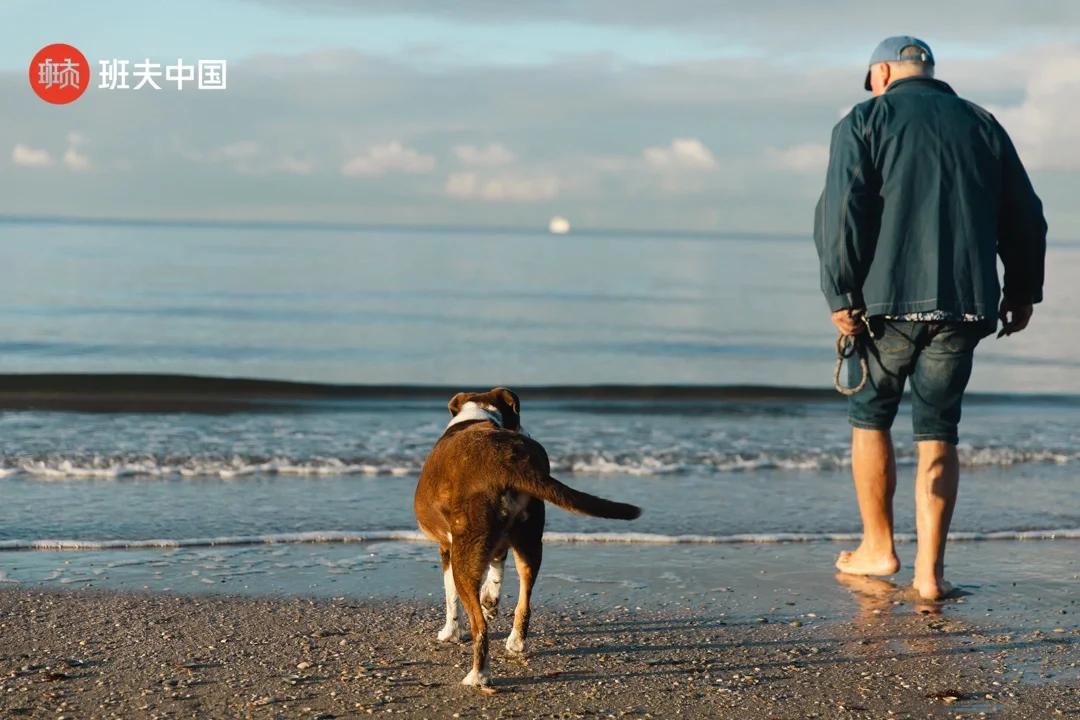 班夫电影节:汪汪和人类朋友的故事