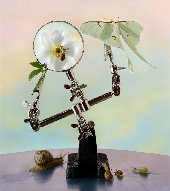 电影美术|科学怪人