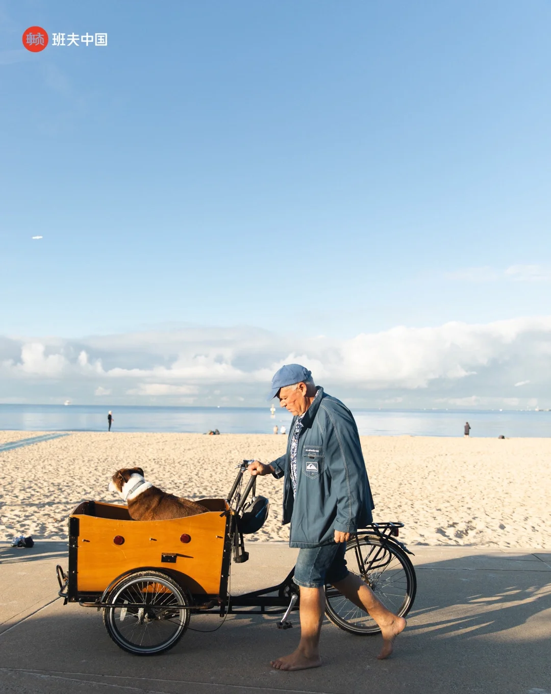 班夫电影节:汪汪和人类朋友的故事