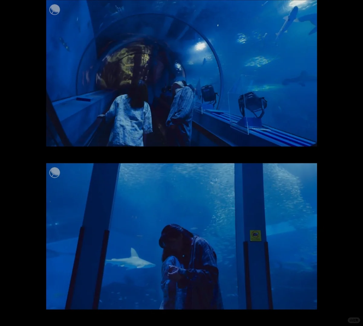 挑战看完100部电影：第4⃣️8⃣️部