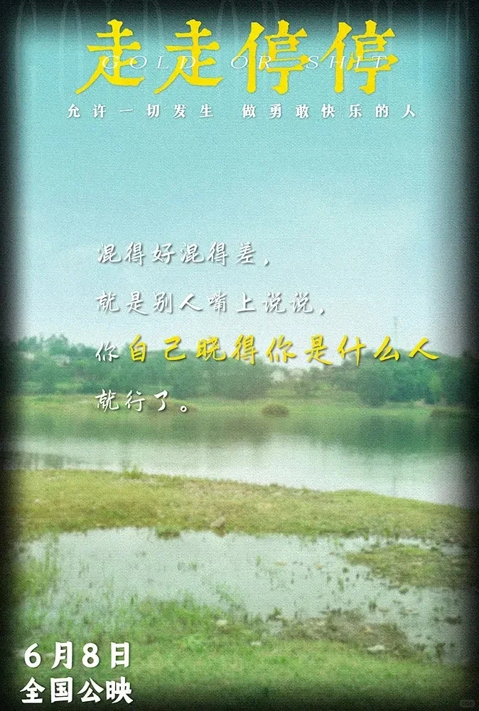 影评：电影《走走停停》