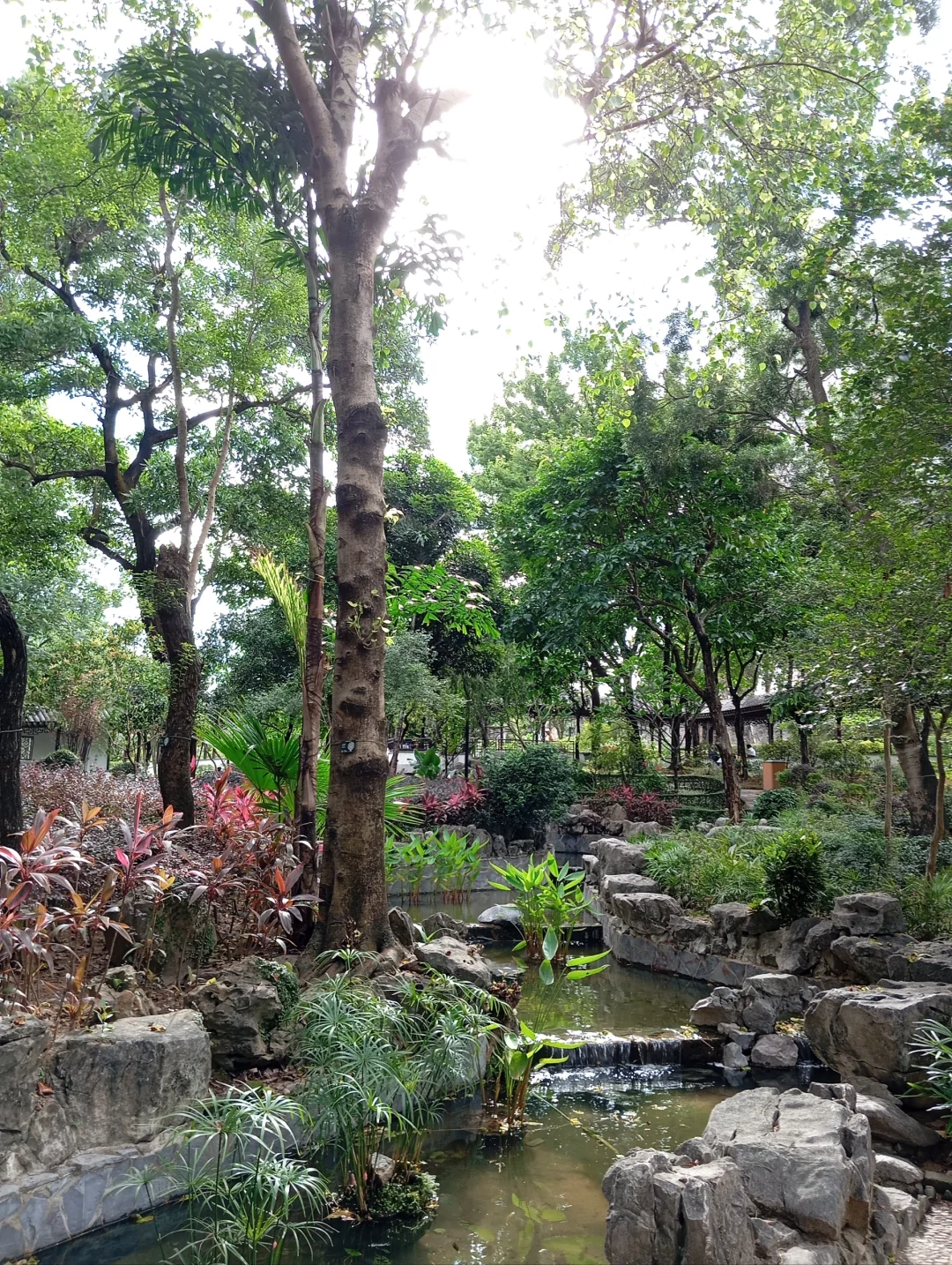 看完電影遊圍寨城