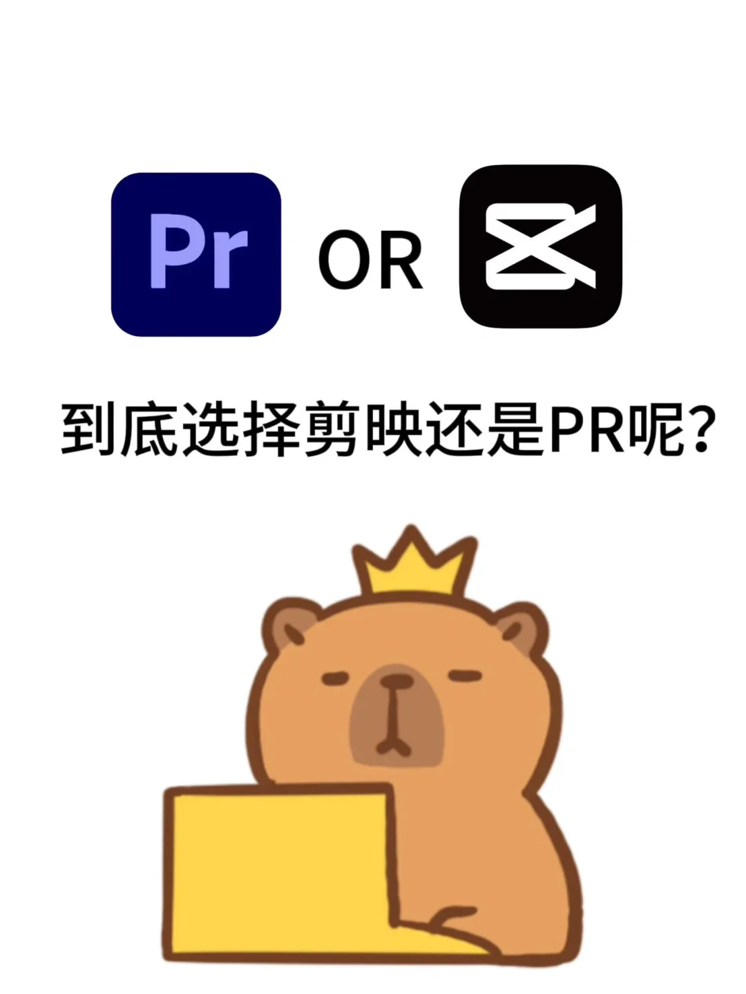 PR和剪映到底哪个软件好用❓怎么进行选择捏