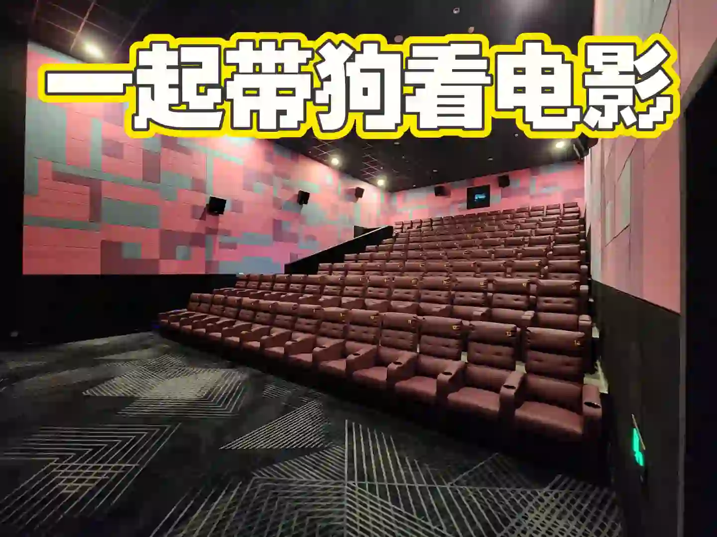 快来一起带狗狗包场看电影吧！