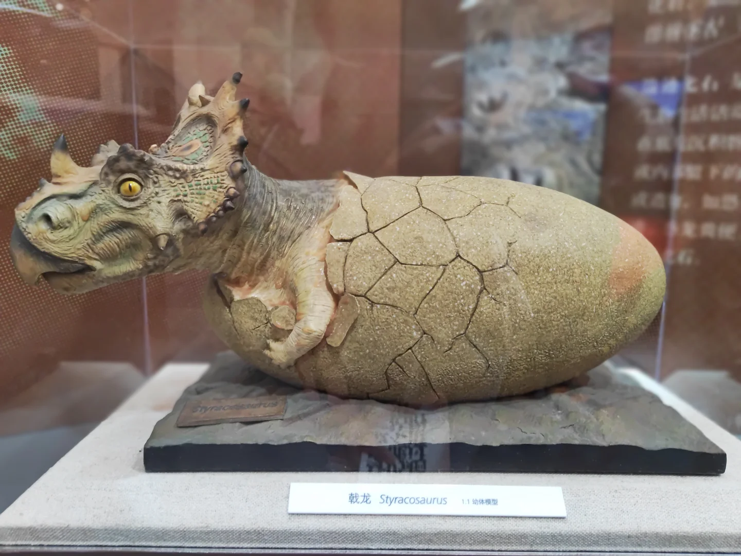 松江科技馆恐龙展3d电影重开了（附时间表）