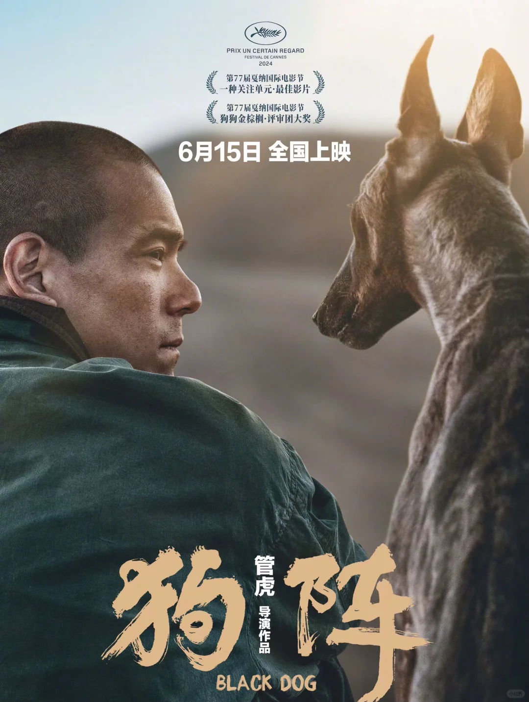 六月电影太多啦!近期近期哒