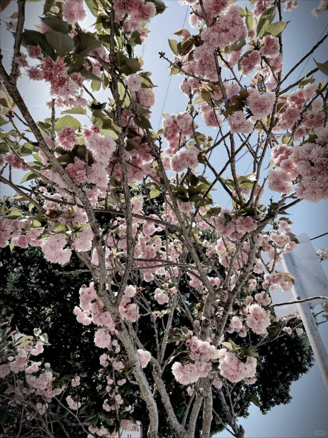 拍照好好看的APP