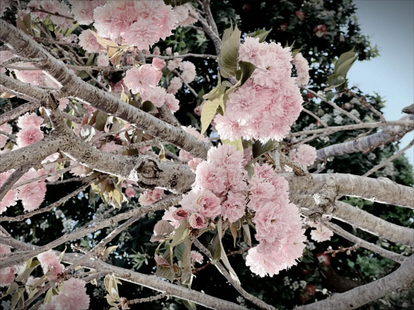 拍照好好看的APP