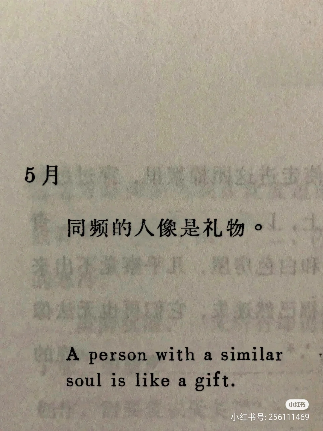 每周一部好電影《花束般的戀愛》