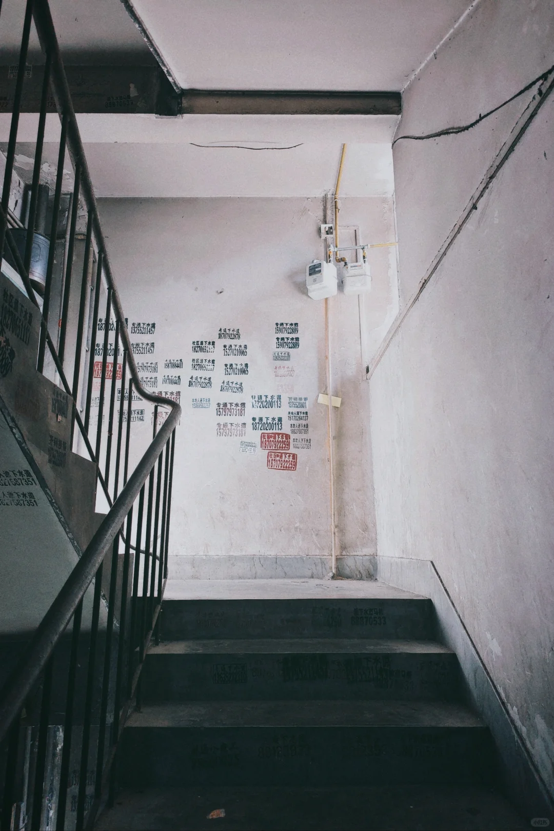 手机也可以有富士滤镜