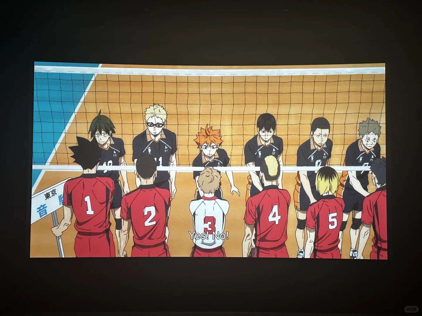 清水来看小排球电影啦