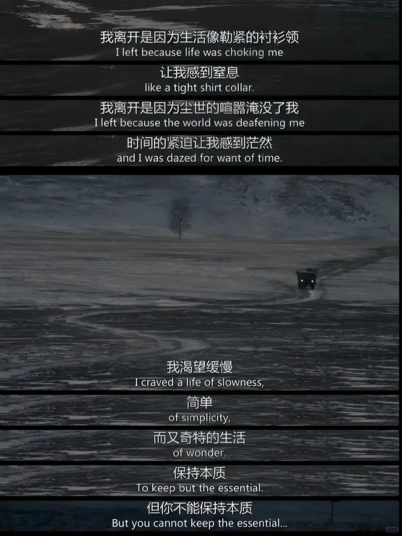 i人最爱的人生电影|告诉你自由到底是什么