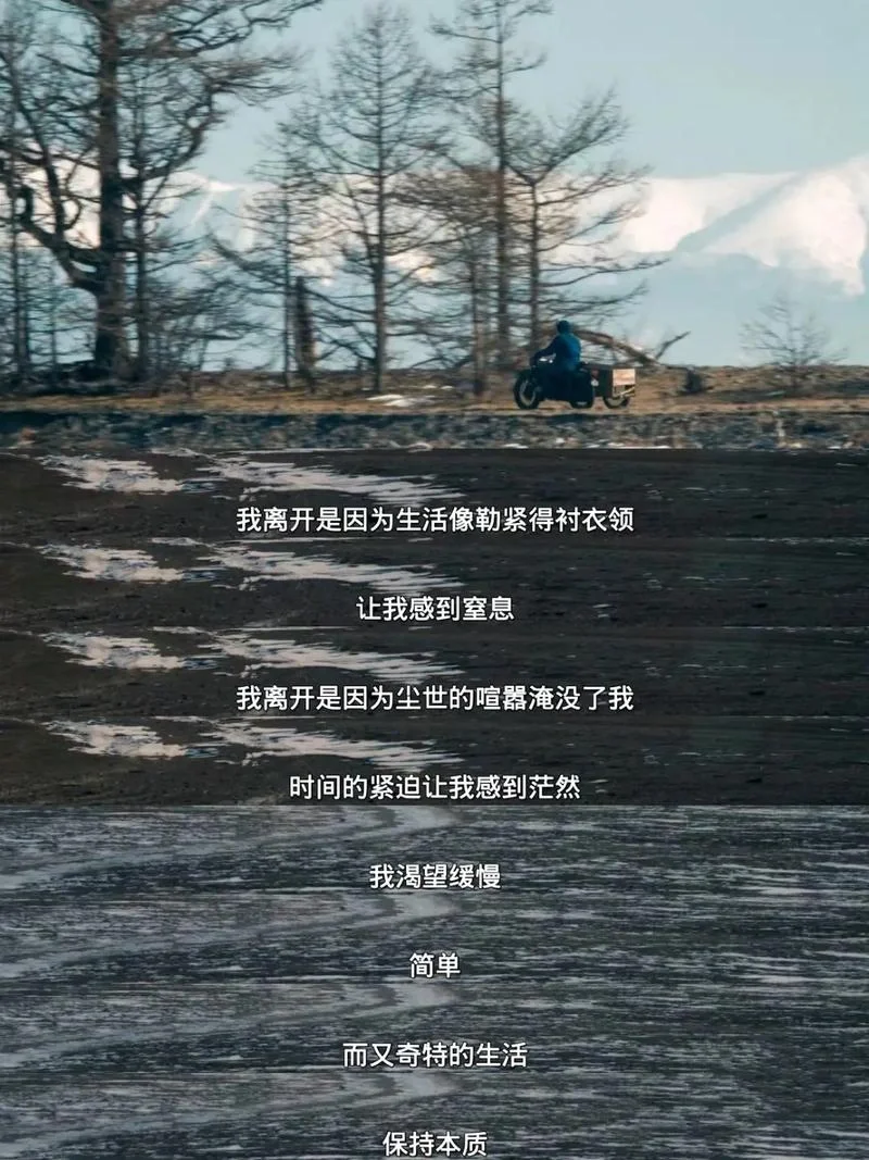 i人最爱的人生电影|告诉你自由到底是什么