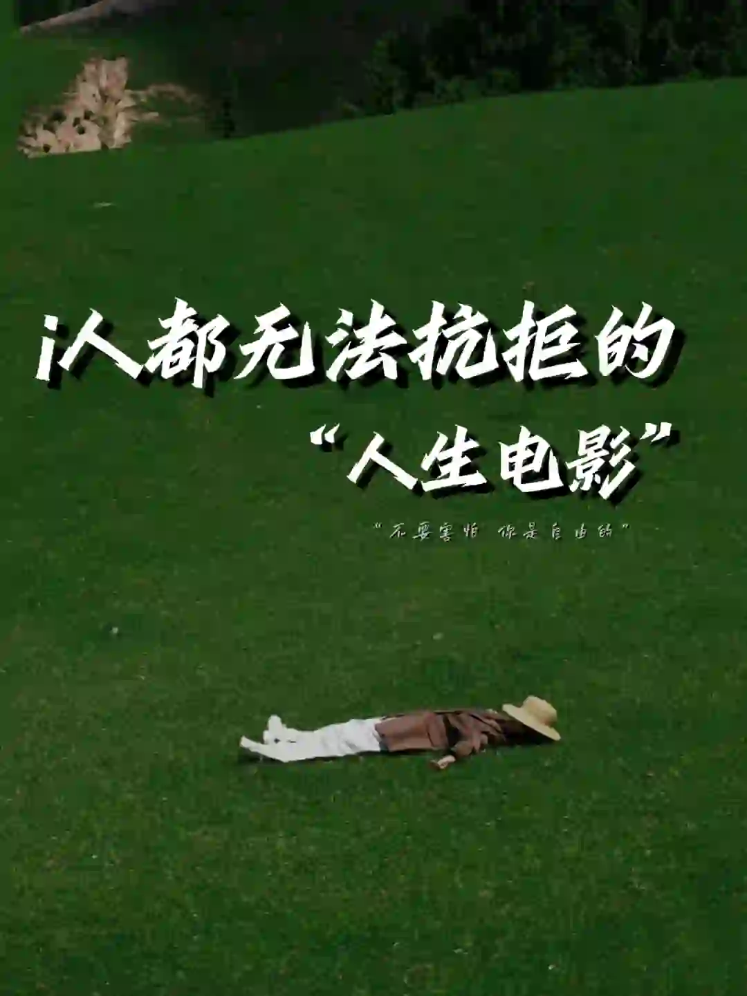 i人最爱的人生电影|告诉你自由到底是什么